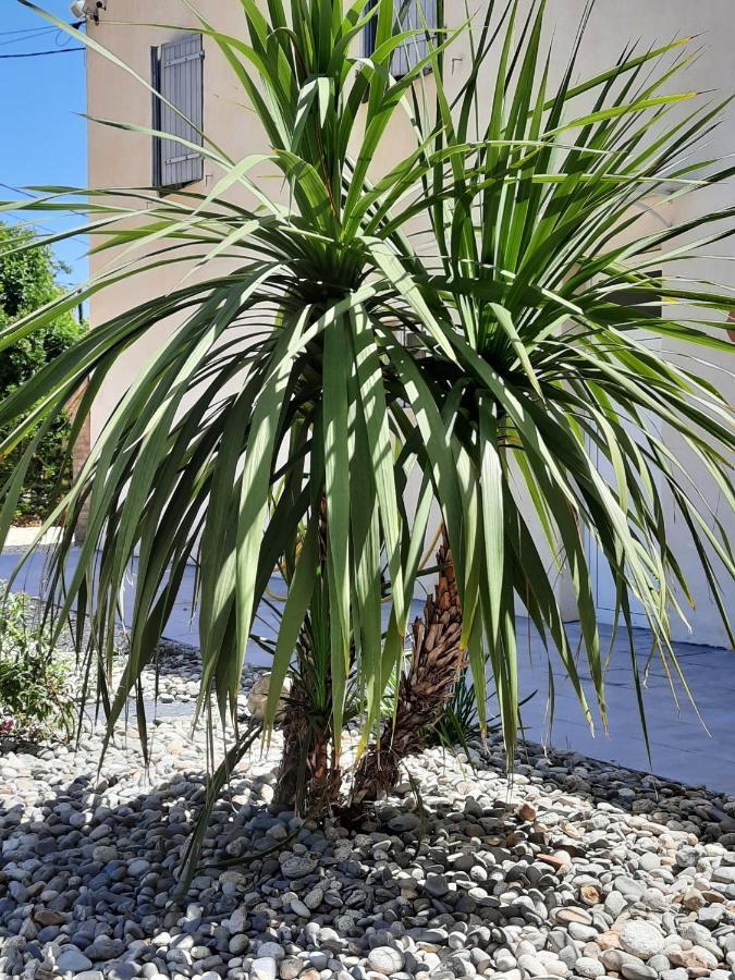 Gite 4 Personnes Avec Piscine Entre Saintes Et Royan Balanzac Exterior photo